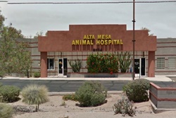 Alta Mesa Animal Clinic; pet friendly vets in mesa arizona; veterinarians in mesa arizona