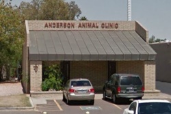 Anderson Animal Clinic; pet friendly vets in mesa arizona; veterinarians in mesa arizona