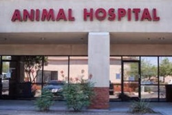 Comet Veterinary Hospital; pet friendly vets in mesa arizona; veterinarians in mesa arizona
