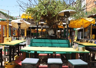 pet friendly restaurants in mesa, dogs allowed restaurants in mesa, arizona