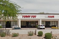 The Pudgy Pup, pet boarding and dog daycare in mesa, arizona